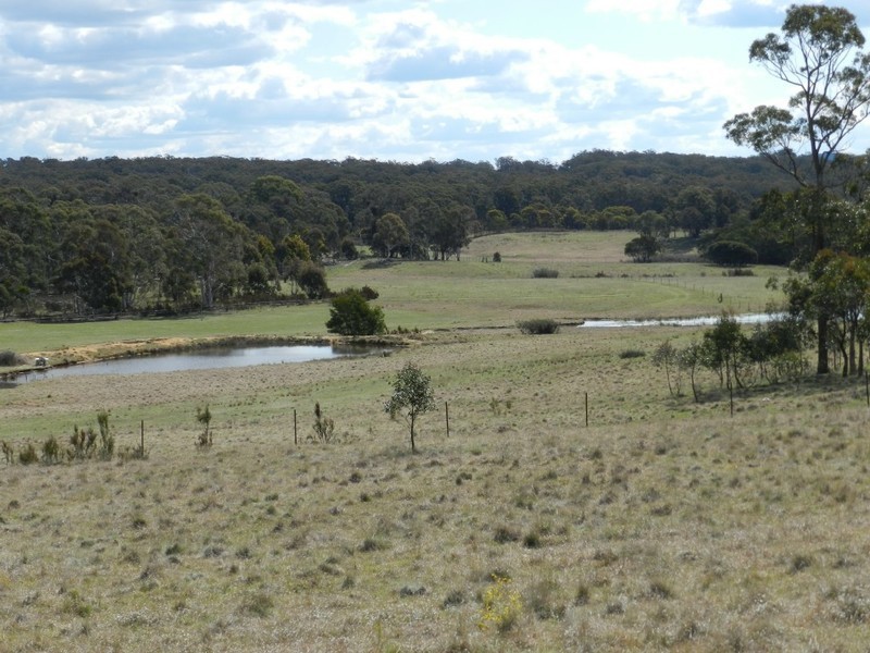 Wingonia Park 108 Rosevale Road, Windellama NSW 2580