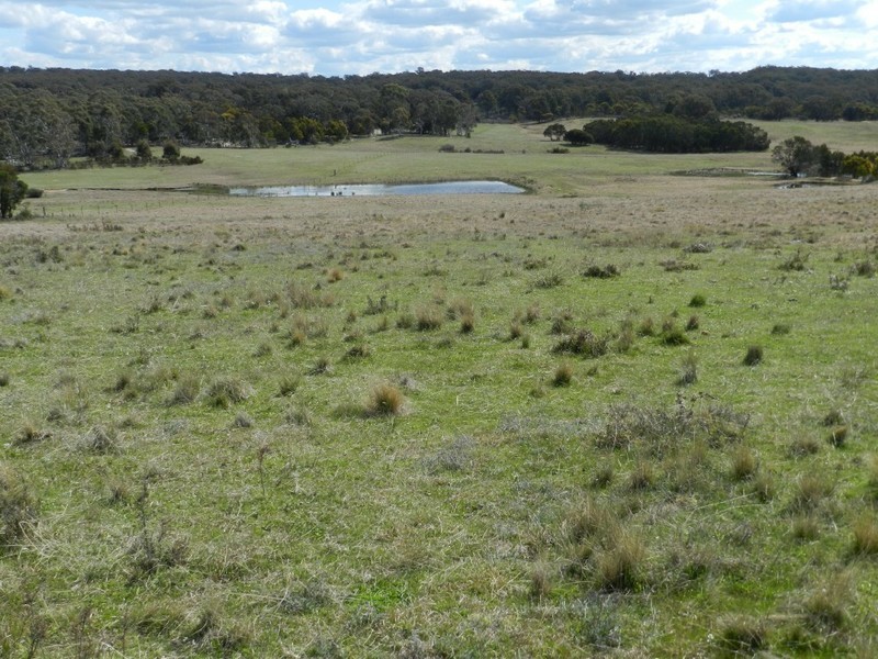 Wingonia Park 108 Rosevale Road, Windellama NSW 2580