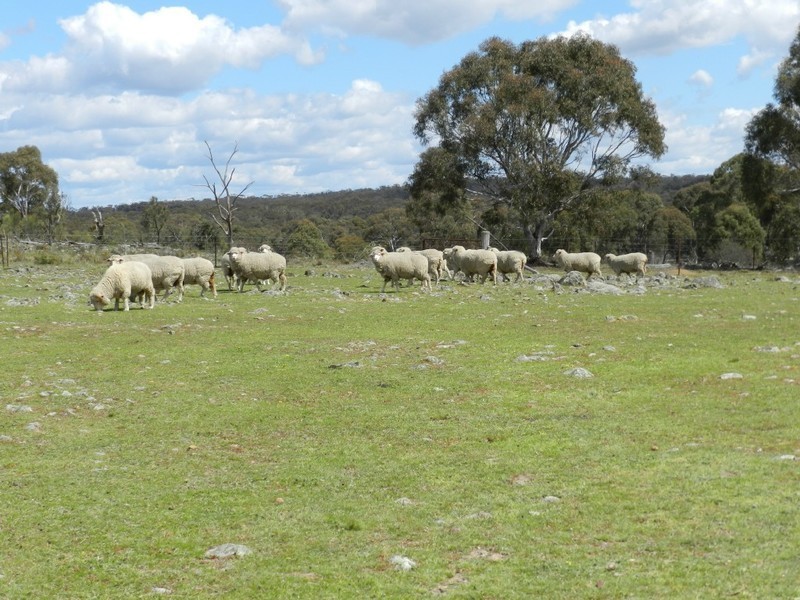 Wingonia Park 108 Rosevale Road, Windellama NSW 2580