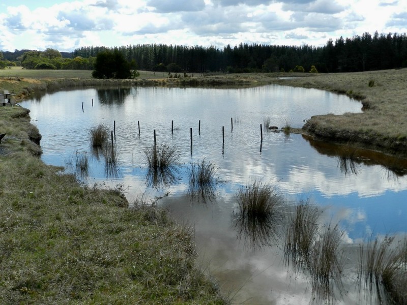 Wingonia Park 108 Rosevale Road, Windellama NSW 2580