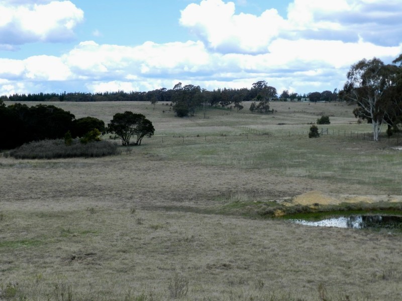 Wingonia Park 108 Rosevale Road, Windellama NSW 2580