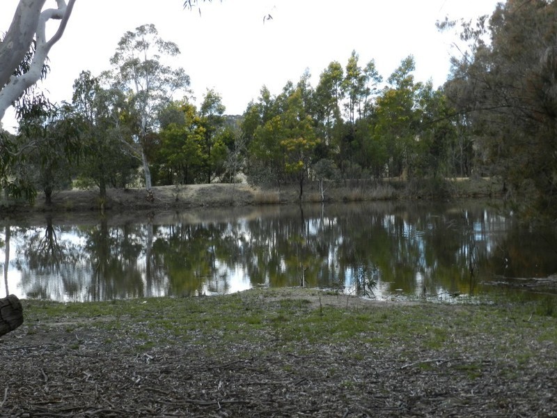 Wingonia Park 108 Rosevale Road, Windellama NSW 2580