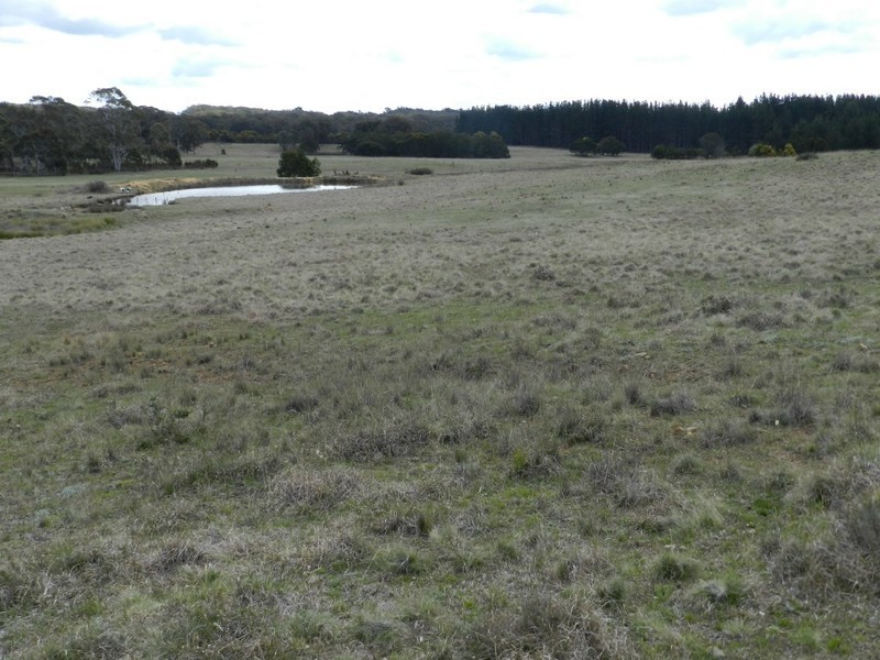 Wingonia Park 108 Rosevale Road, Windellama NSW 2580