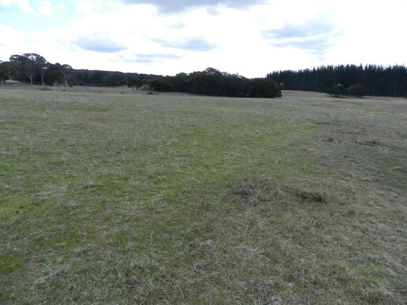 Wingonia Park 108 Rosevale Road, Windellama NSW 2580