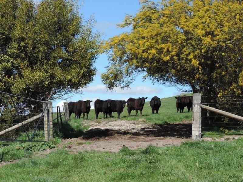 1562 Taralga Road, Laggan NSW 2583