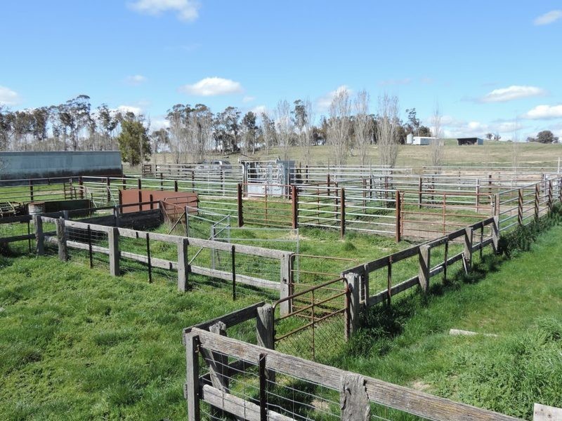 1562 Taralga Road, Laggan NSW 2583