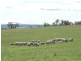 1562 Taralga Road, Laggan NSW 2583