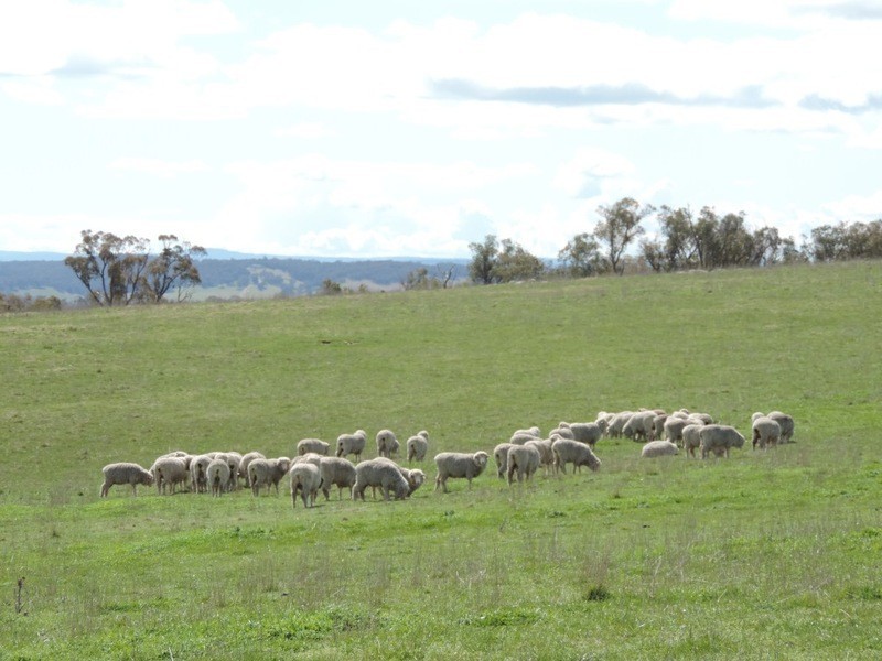 1562 Taralga Road, Laggan NSW 2583