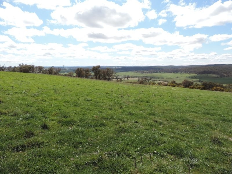 1562 Taralga Road, Laggan NSW 2583