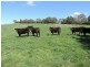 1562 Taralga Road, Laggan NSW 2583