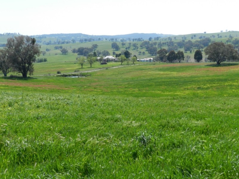 Lot 1 Sylvia Vale Road, Binda NSW 2583