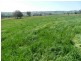 Lot 1 Sylvia Vale Road, Binda NSW 2583