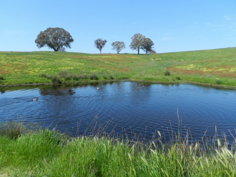 Lot 1 Sylvia Vale Road, Binda NSW 2583