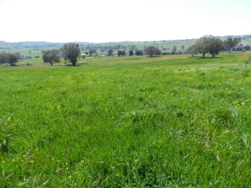 Lot 1 Sylvia Vale Road, Binda NSW 2583