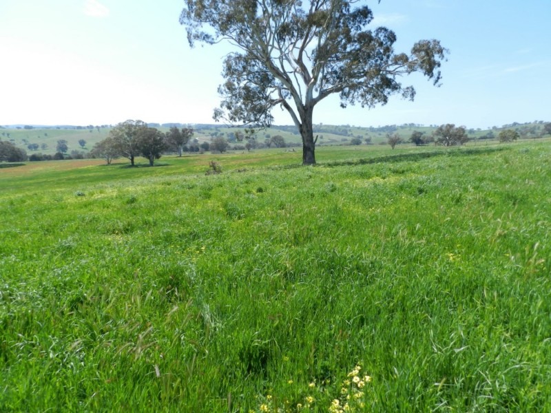 Lot 1 Sylvia Vale Road, Binda NSW 2583