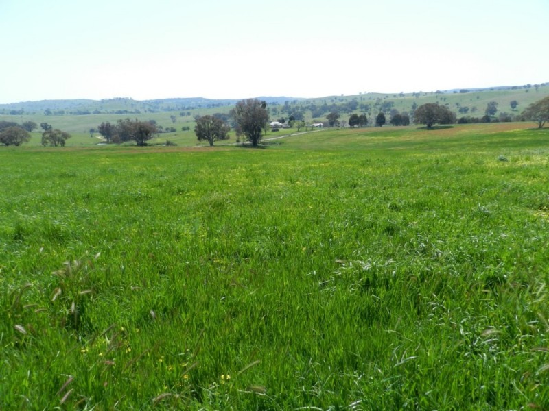 Lot 1 Sylvia Vale Road, Binda NSW 2583