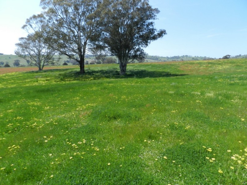 Lot 1 Sylvia Vale Road, Binda NSW 2583