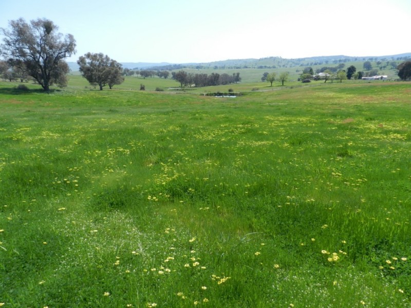 Lot 1 Sylvia Vale Road, Binda NSW 2583