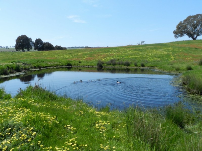 Lot 1 Sylvia Vale Road, Binda NSW 2583