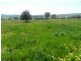 Lot 1 Sylvia Vale Road, Binda NSW 2583
