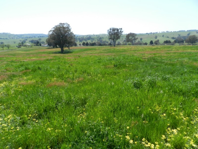 Lot 1 Sylvia Vale Road, Binda NSW 2583