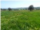 Lot 1 Sylvia Vale Road, Binda NSW 2583