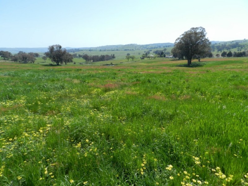 Lot 1 Sylvia Vale Road, Binda NSW 2583