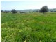 Lot 1 Sylvia Vale Road, Binda NSW 2583