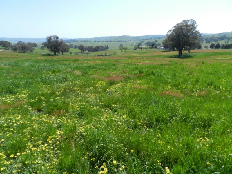 Lot 1 Sylvia Vale Road, Binda NSW 2583