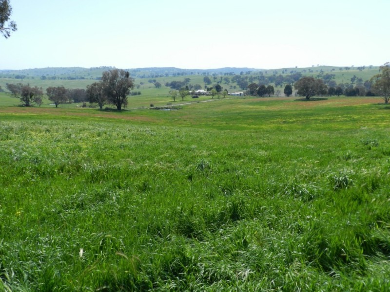 Lot 1 Sylvia Vale Road, Binda NSW 2583