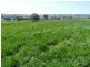 Lot 1 Sylvia Vale Road, Binda NSW 2583