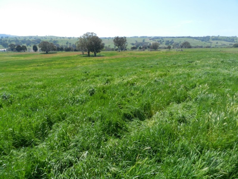 Lot 1 Sylvia Vale Road, Binda NSW 2583