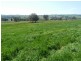 Lot 1 Sylvia Vale Road, Binda NSW 2583