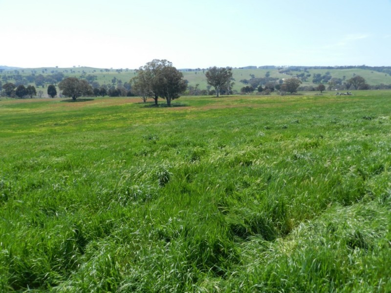 Lot 1 Sylvia Vale Road, Binda NSW 2583