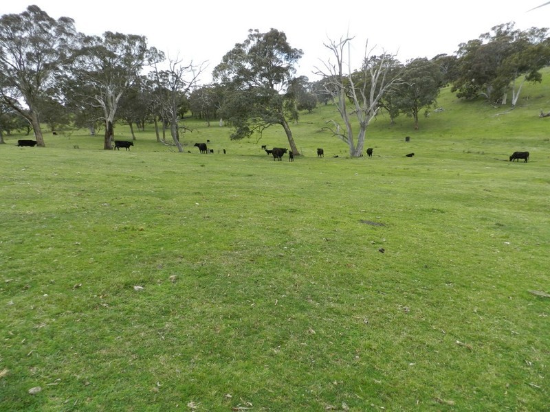 Lot 6 Gurrundah Road, Goulburn NSW 2580