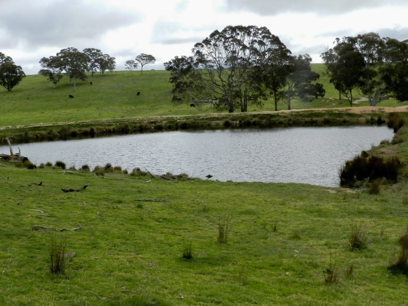 Lot 6 Gurrundah Road, Goulburn NSW 2580