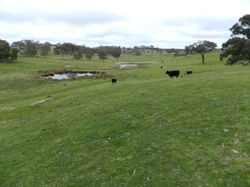 Lot 6 Gurrundah Road, Goulburn NSW 2580