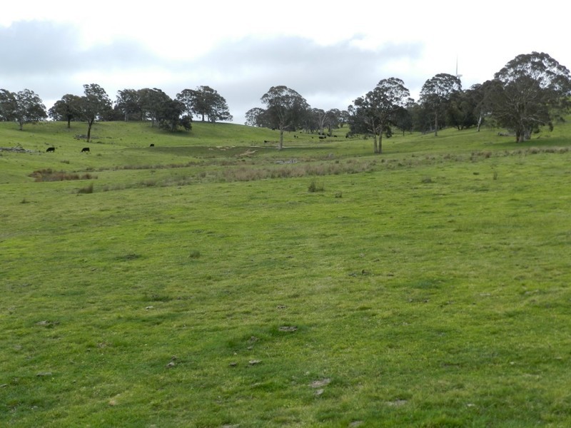 Lot 6 Gurrundah Road, Goulburn NSW 2580