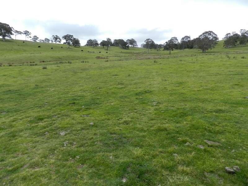 Lot 6 Gurrundah Road, Goulburn NSW 2580