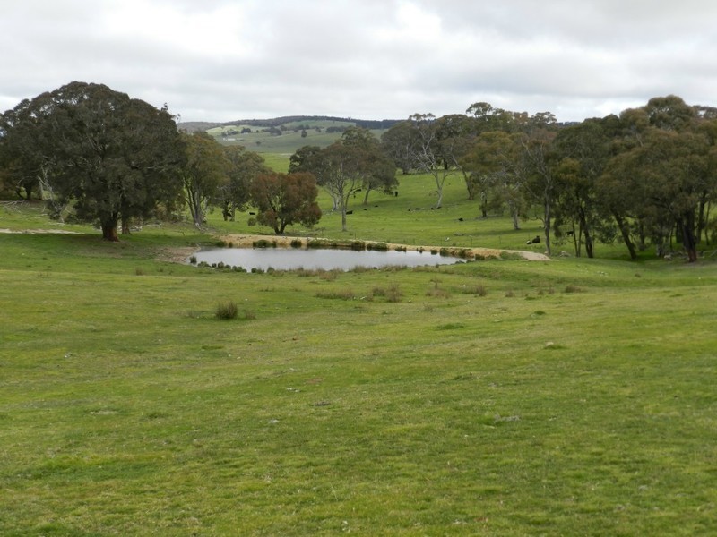Lot 6 Gurrundah Road, Goulburn NSW 2580