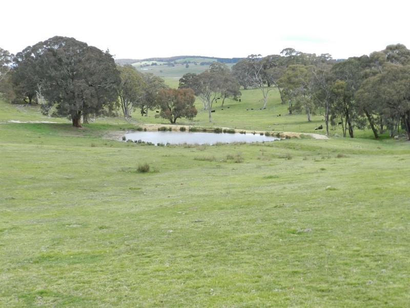Lot 6 Gurrundah Road, Goulburn NSW 2580
