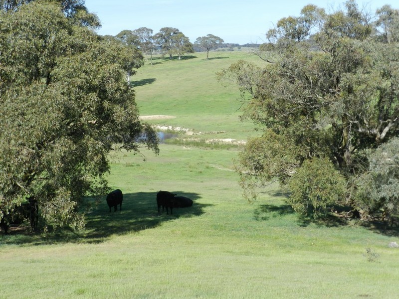 Lot 6 Gurrundah Road, Goulburn NSW 2580