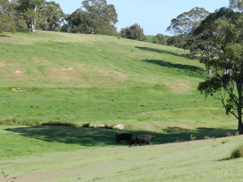 Lot 6 Gurrundah Road, Goulburn NSW 2580