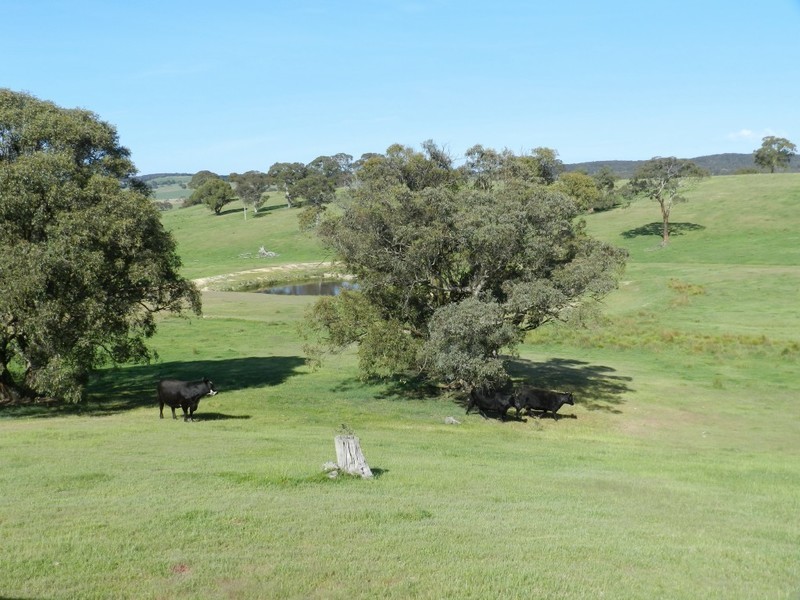 Lot 6 Gurrundah Road, Goulburn NSW 2580