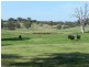 Lot 6 Gurrundah Road, Goulburn NSW 2580