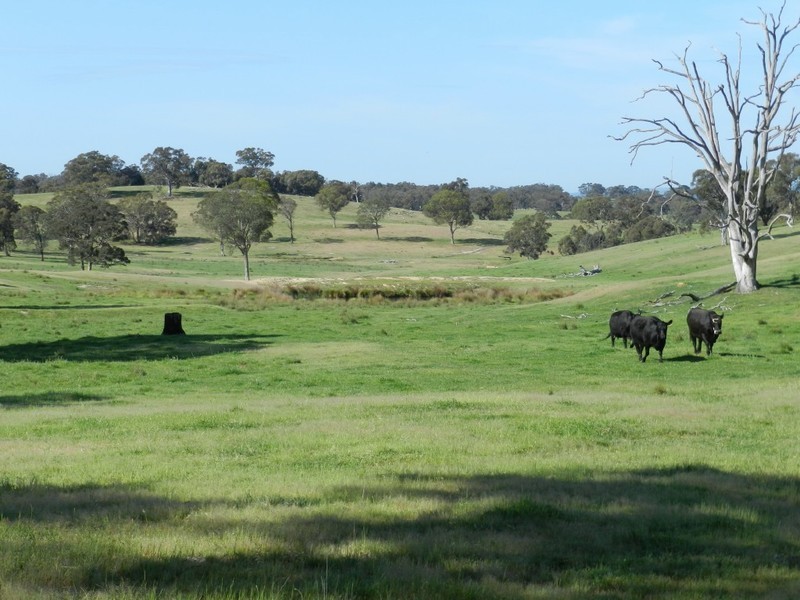 Lot 6 Gurrundah Road, Goulburn NSW 2580