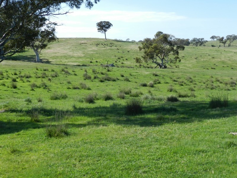 Lot 6 Gurrundah Road, Goulburn NSW 2580