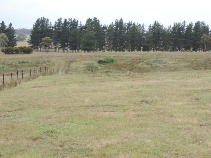 59 Billabong Road, Marulan NSW 2579