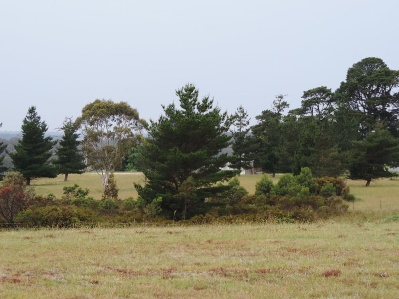 59 Billabong Road, Marulan NSW 2579