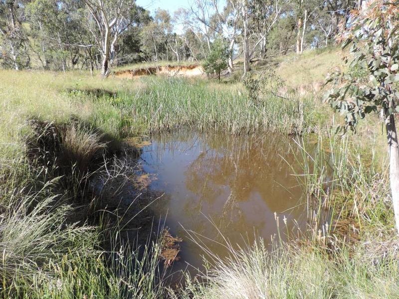 Jerrong Views Lot 171 Jerrong Road, Taralga NSW 2580